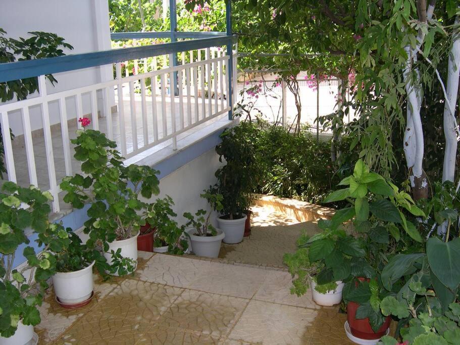 Selfcatering -Studio Helen No 7 ซิโรปิกาโด ภายนอก รูปภาพ