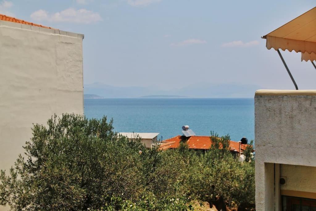 Selfcatering -Studio Helen No 7 ซิโรปิกาโด ภายนอก รูปภาพ