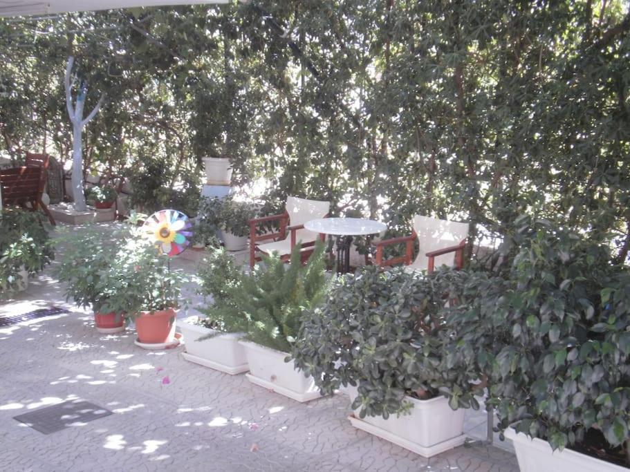 Selfcatering -Studio Helen No 7 ซิโรปิกาโด ภายนอก รูปภาพ